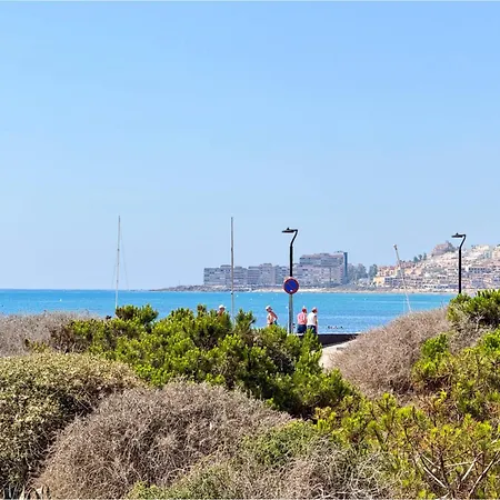 El Paraiso De La Mata (Torrevieja)